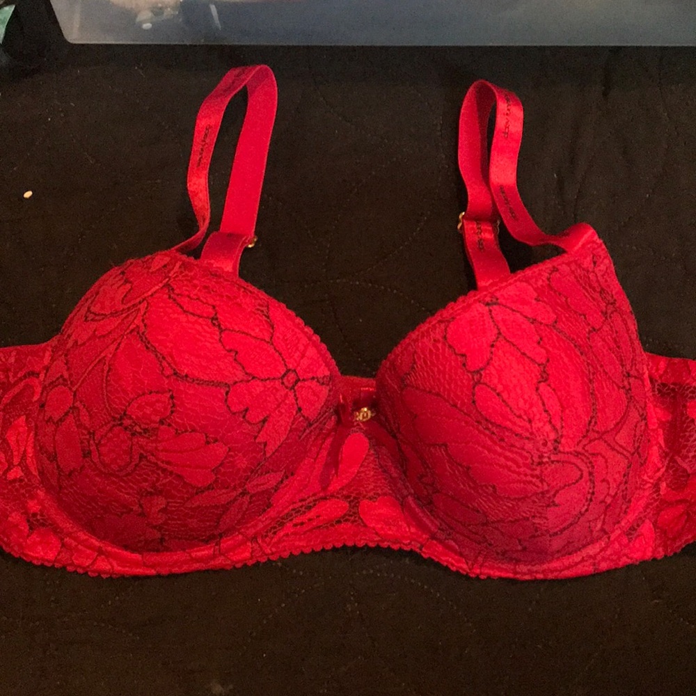 Beautiful red bra